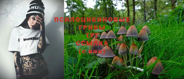 амф Белокуриха