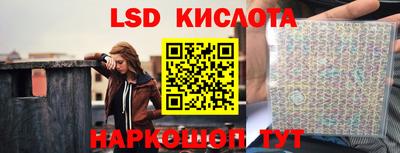 шишки Ставрополь
