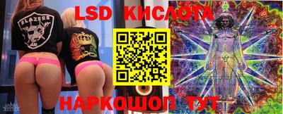 шишки Ставрополь