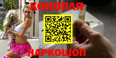шишки Ставрополь