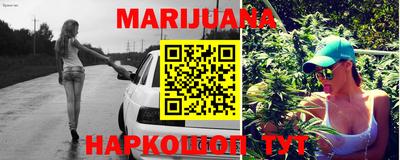 шишки Ставрополь