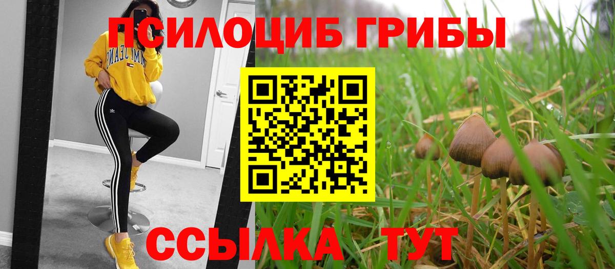 Галлюциногенные грибы MAGIC MUSHROOMS Саяногорск